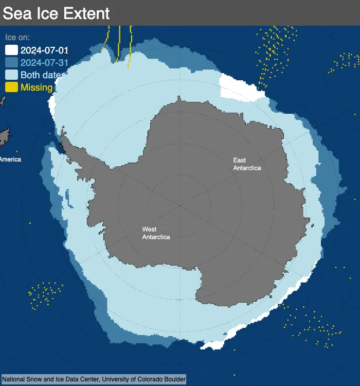 Figure 5b. This map compares Antarctic sea ice extents between July 1, 2024 in white and July 31, 2024 in blue using the NSIDC comparison tool.