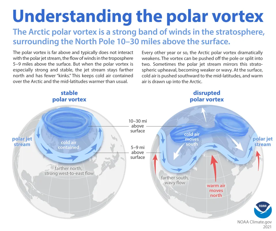 Graphic of Polar Vortex
