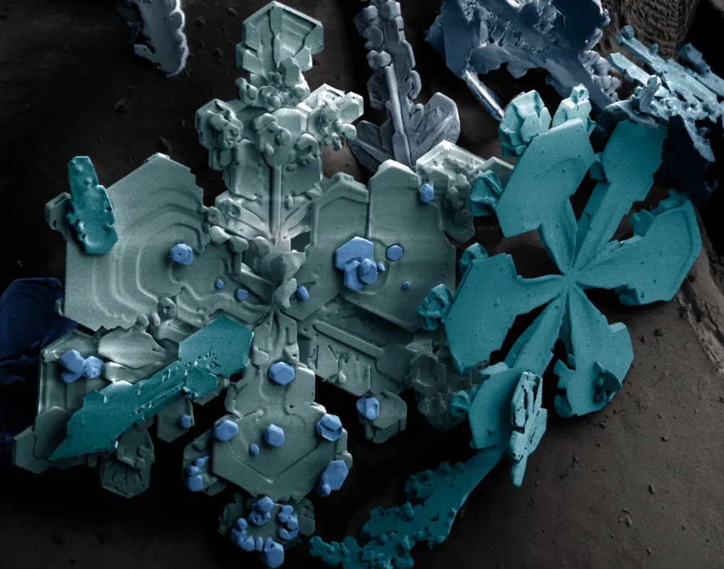 electron microscope of snowflakes