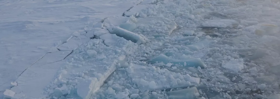 Sea ice