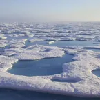 Photo of melt ponds on sea ice