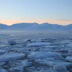 The sun sets over Arctic sea ice