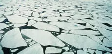 https://nsidc.org/sites/default/files/cryosphere/glossary/ice_floe.jpg ice_floe.jpg