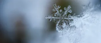 Snowflake in snowpack